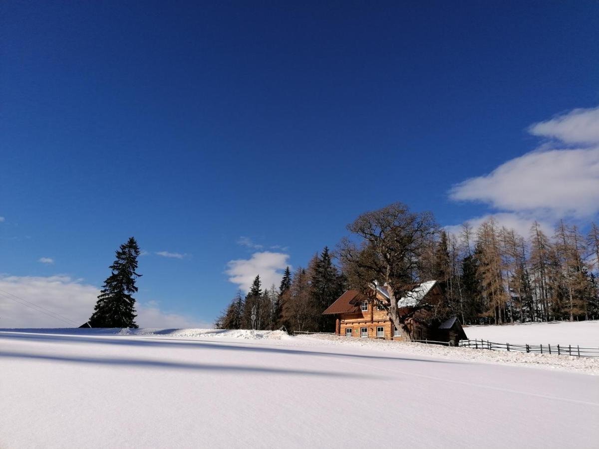 Ferienhaus Bichlhuette Пругерн Екстериор снимка