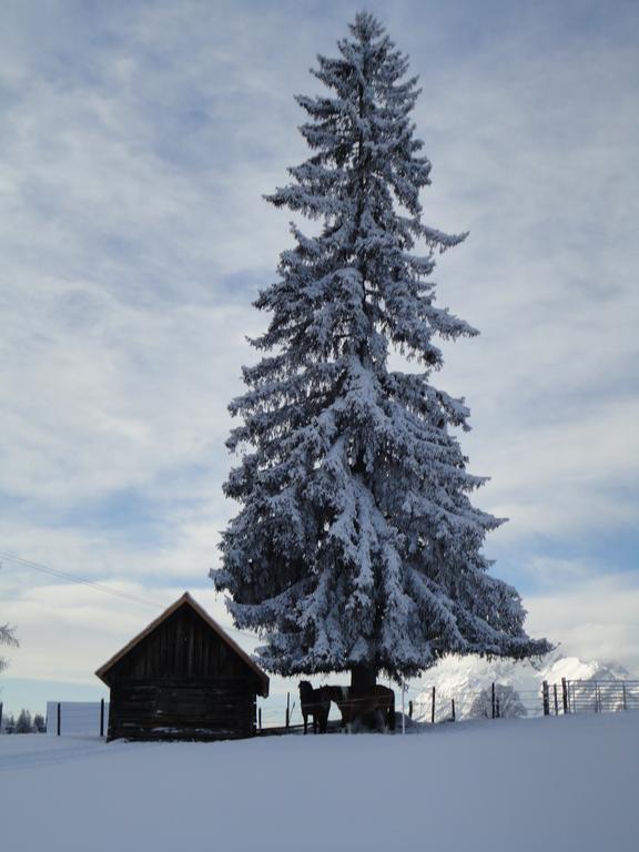 Ferienhaus Bichlhuette Пругерн Стая снимка